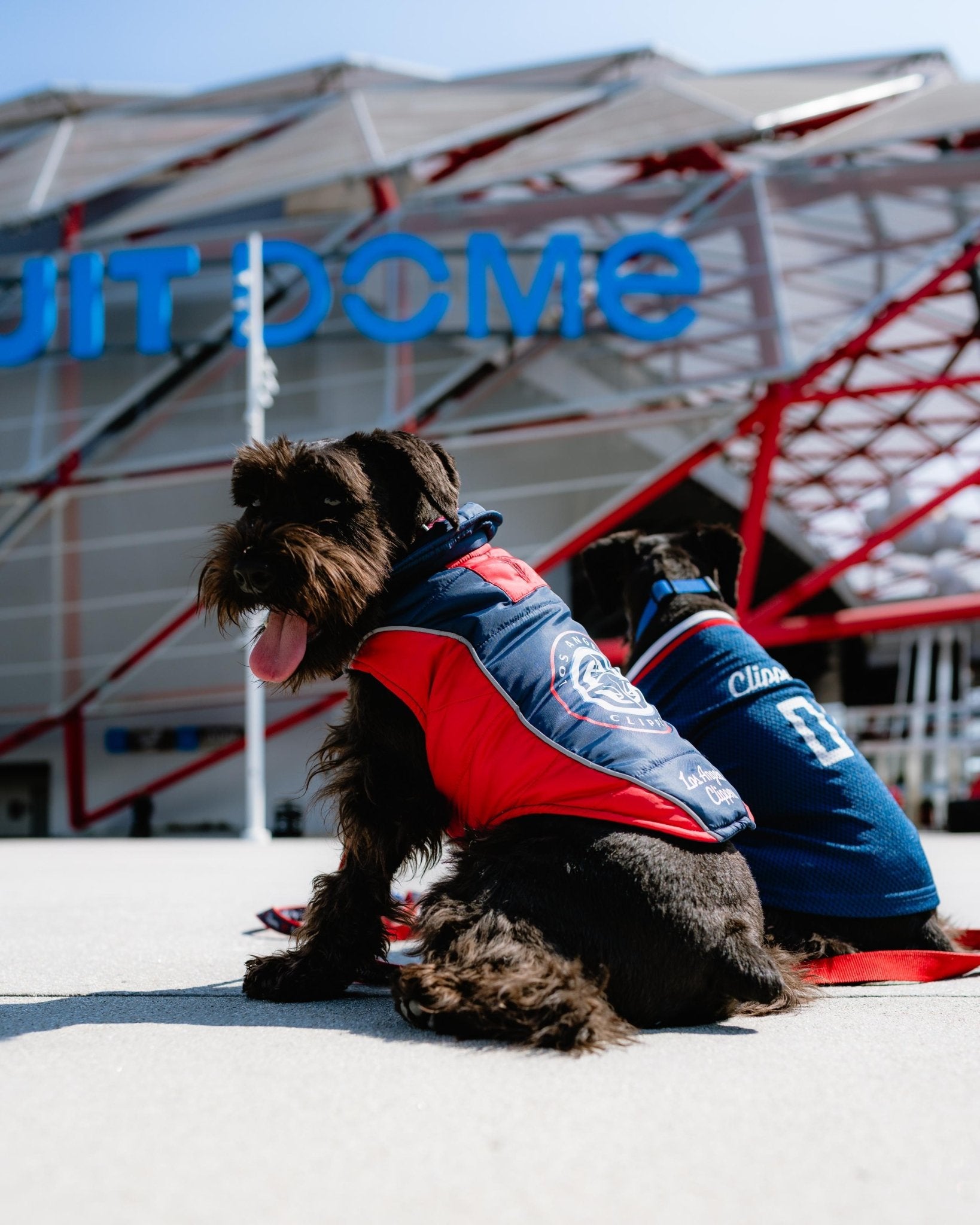 LA Clippers Pet Puffer Vest - Navy - 70 - 000008 - S