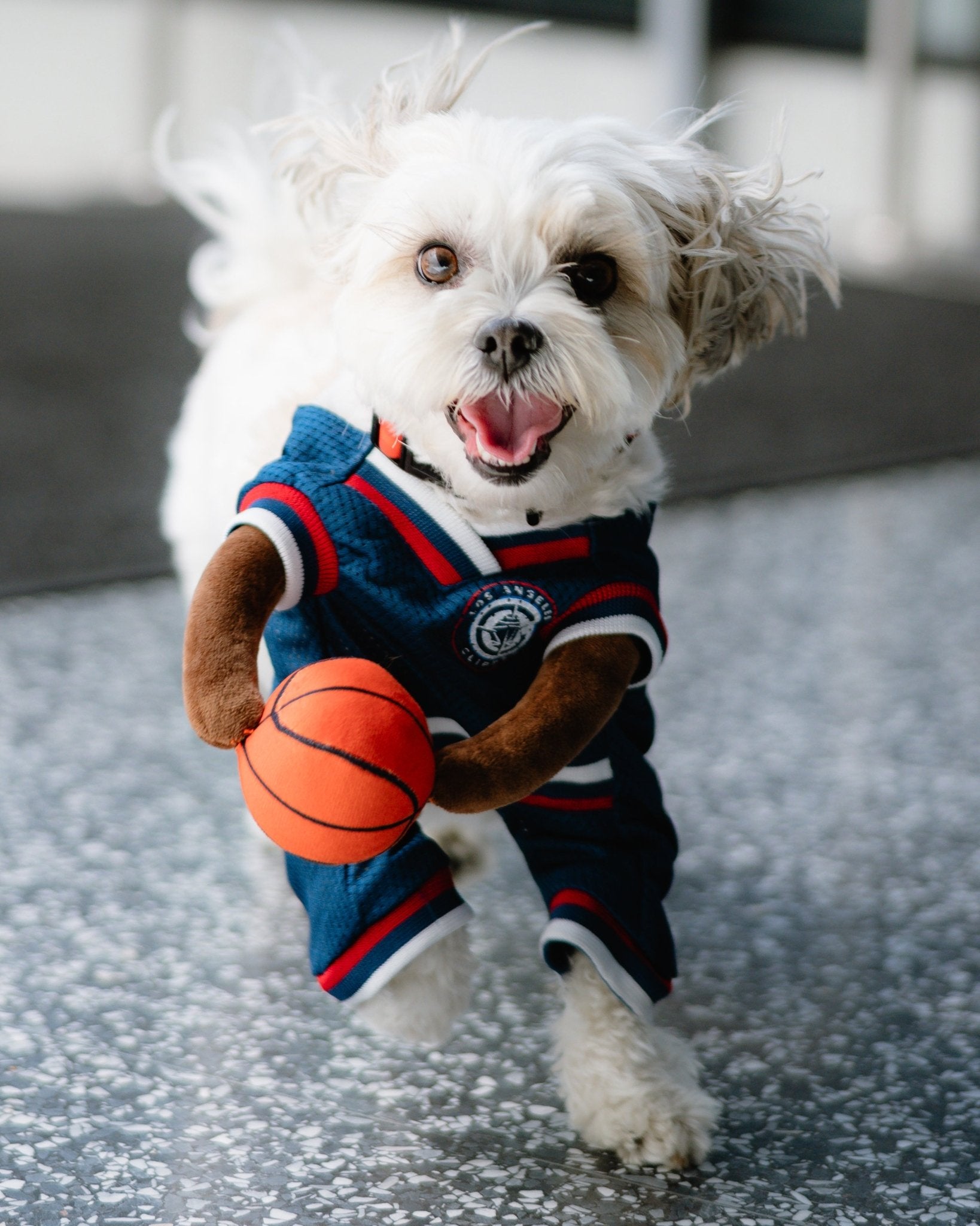 Pet Clippers Basketball Player Costume - Accessories - Navy - 70 - 000014 - XS