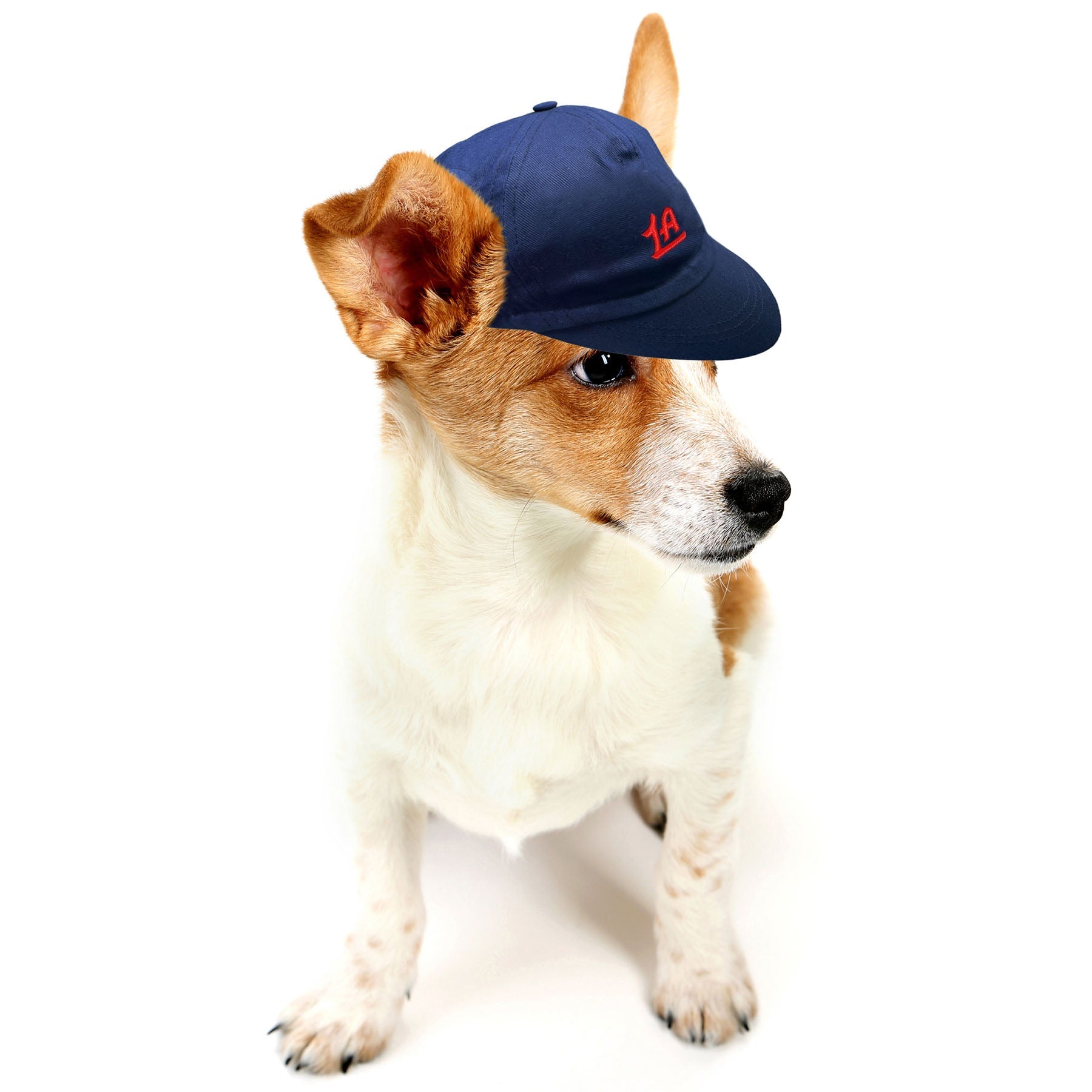 Pet LA Baseball Hat - Accessories - Navy - 70 - 000013 - XS