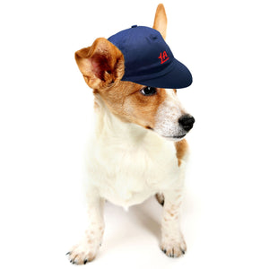 Pet LA Baseball Hat - Accessories - Navy - 70 - 000013 - XS